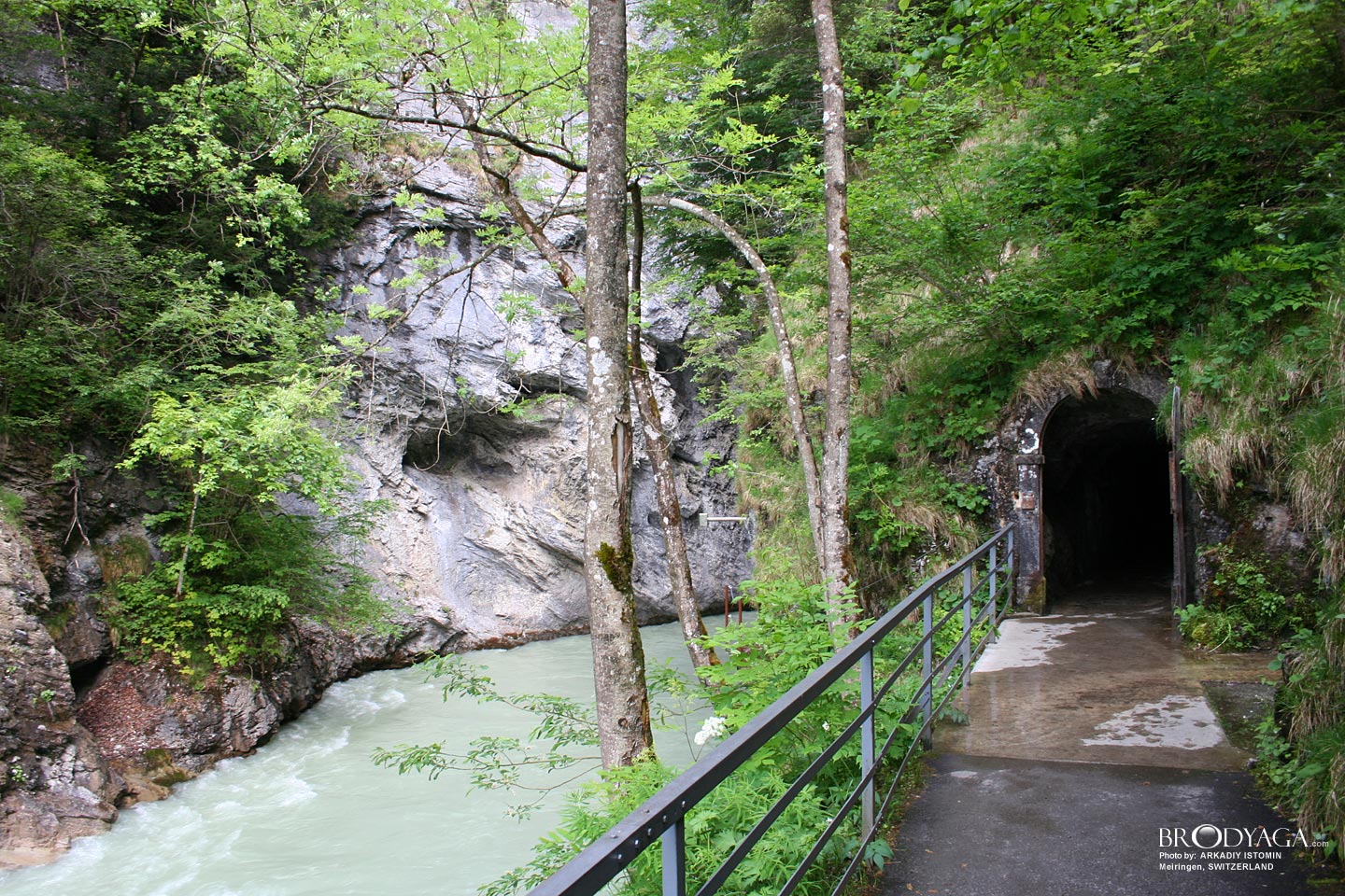 Aareschlucht